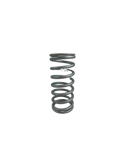 Plunger spring, L'Orange