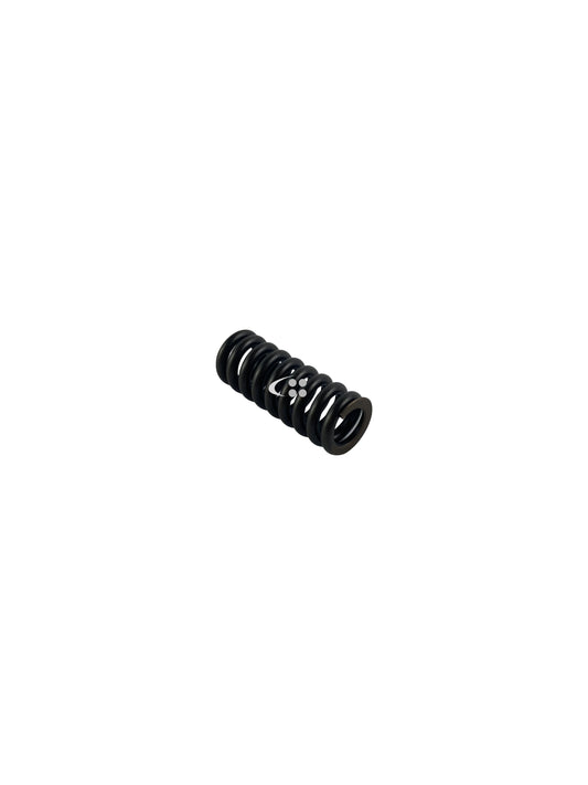 Compresion spring, Dely valve
