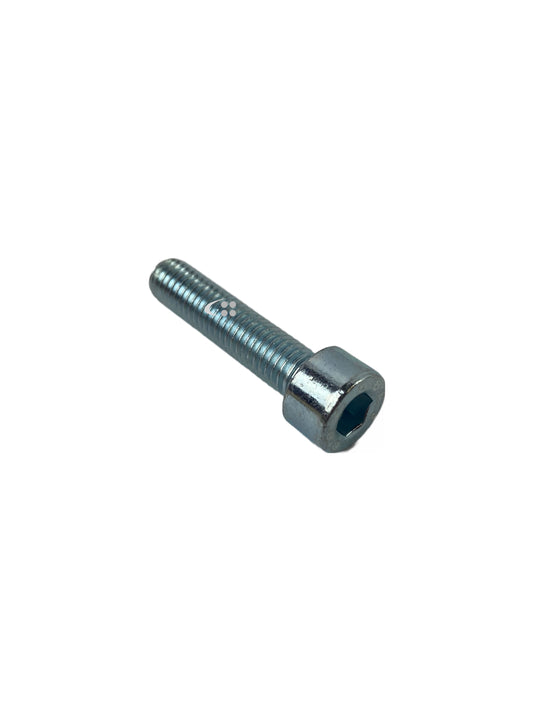 Screw