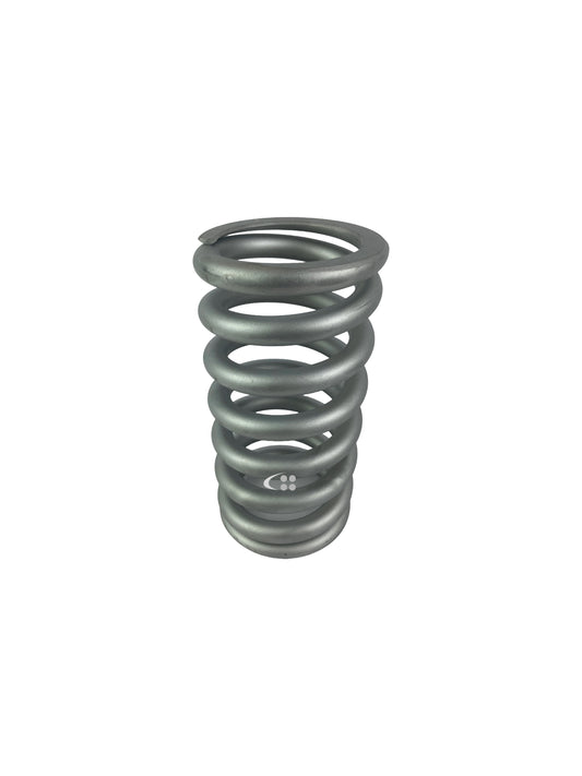 Valve spring