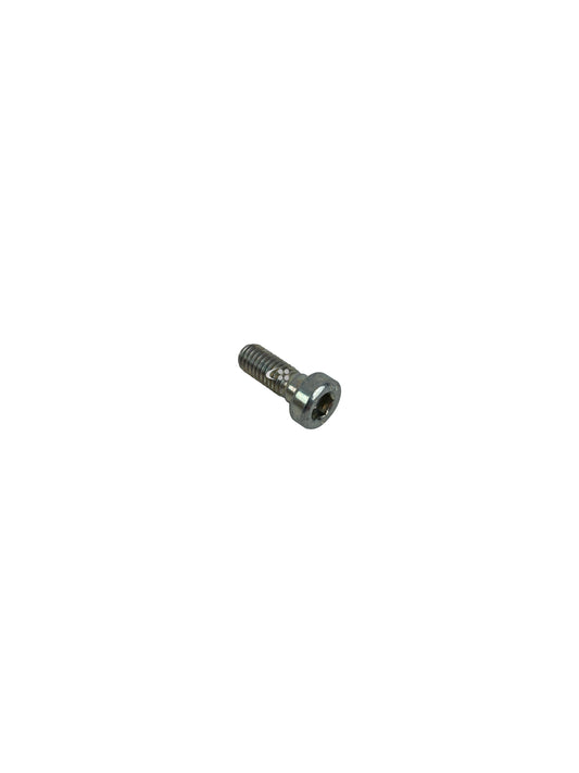 Screw