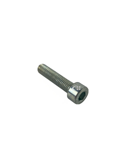 Screw