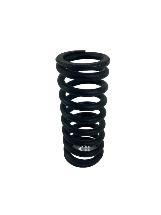 Valve spring