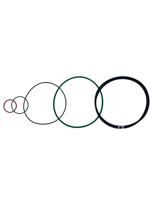 O RINGS