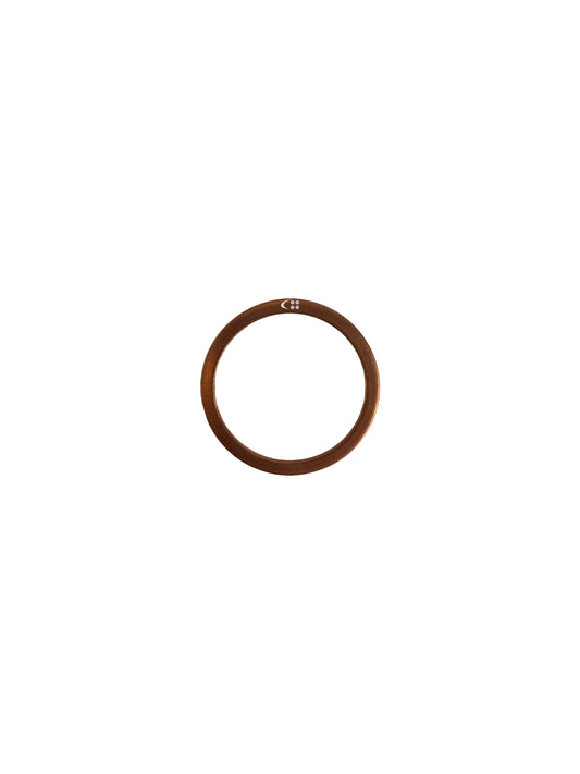 Sealing ring