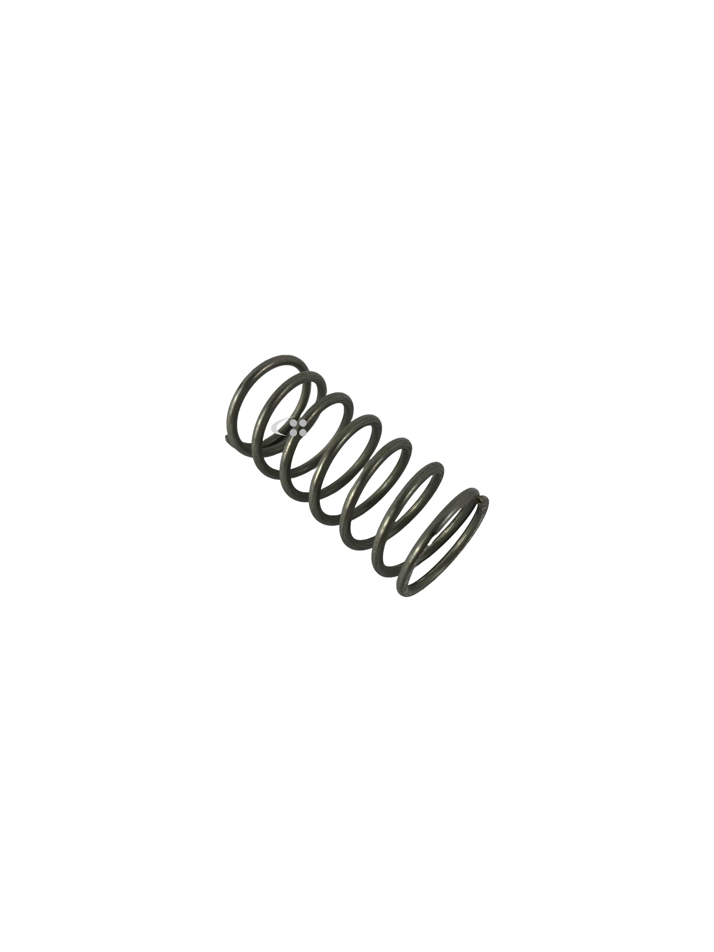 Valve spring