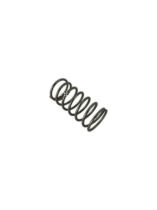 Valve spring