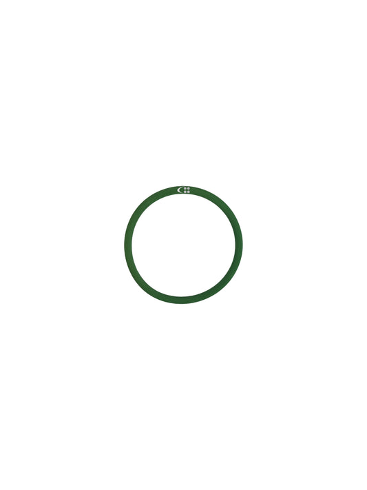 O-ring