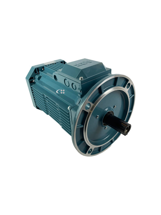 Electric motor 3GAA102550-BDK