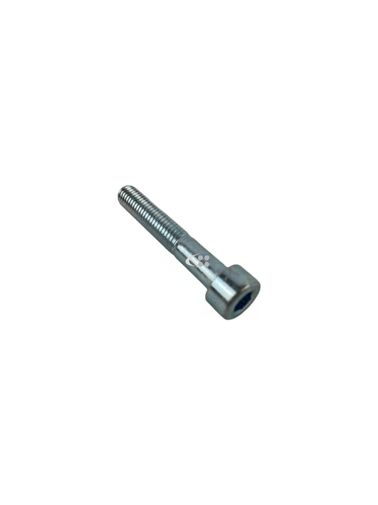 Screw