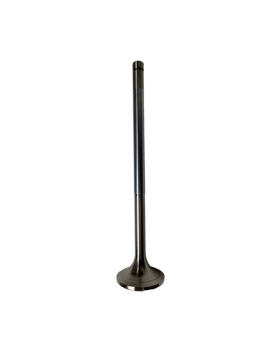 Exhaust valve